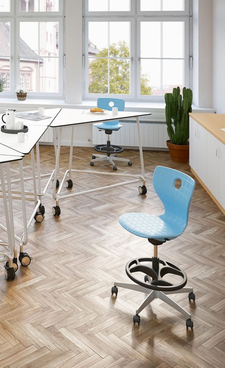 pantoMove Lupo Plus 31507 (9).jpg