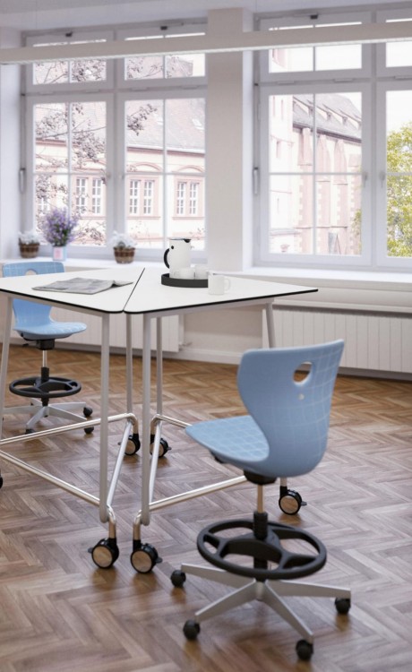 pantoMove Lupo Plus 31507 (10).jpg