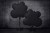 00_LoOok_PRODUCT_Woodland.jpg